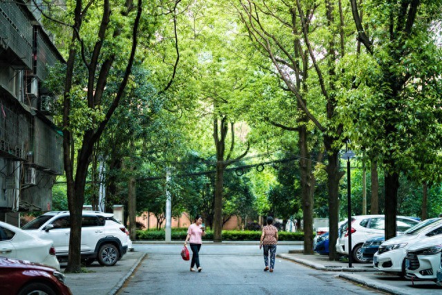 665 万房产陷入 “脏乱差” 困境，业主呼吁物业回归